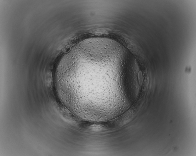 X0000113620704200910021828