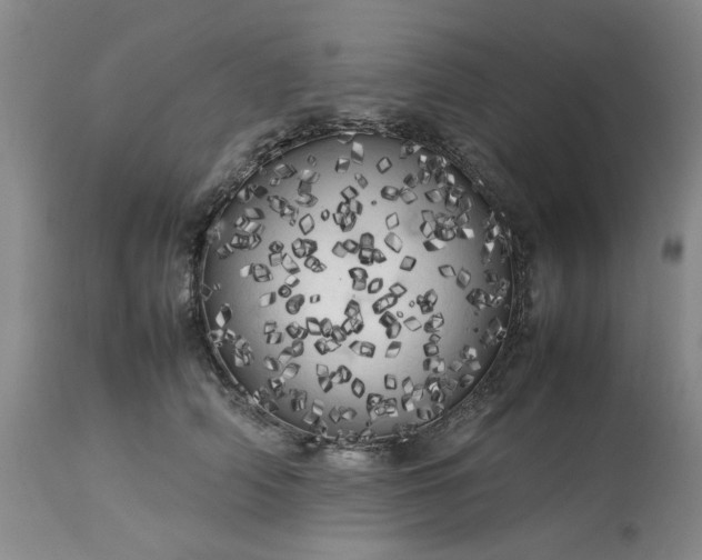 X0000113620706200910021828