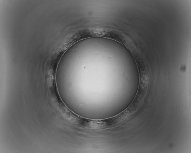 X0000113620707200910021828