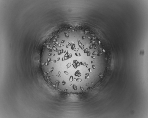 X0000113620710200910021828