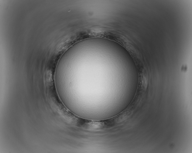 X0000113620711200910021828