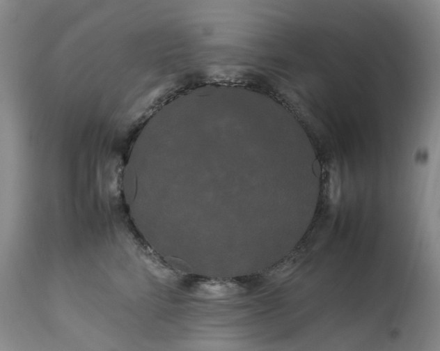 X0000113620712200910021828