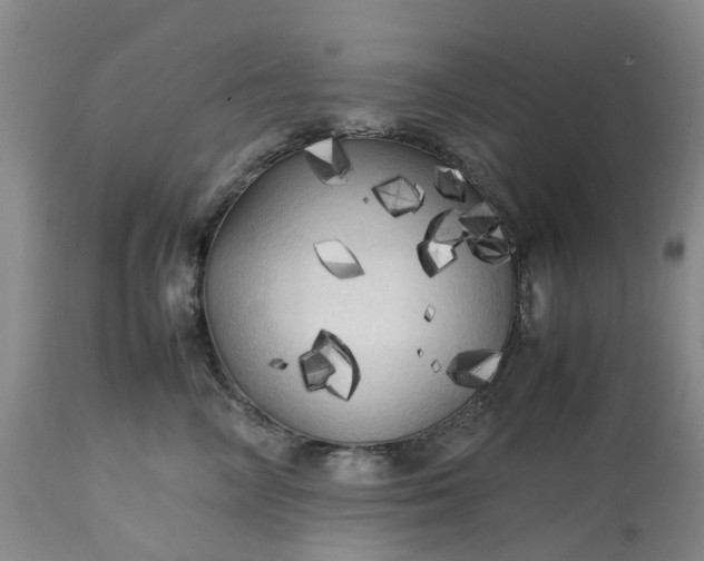 X0000113620714200910021828