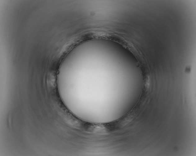 X0000113620715200910021828