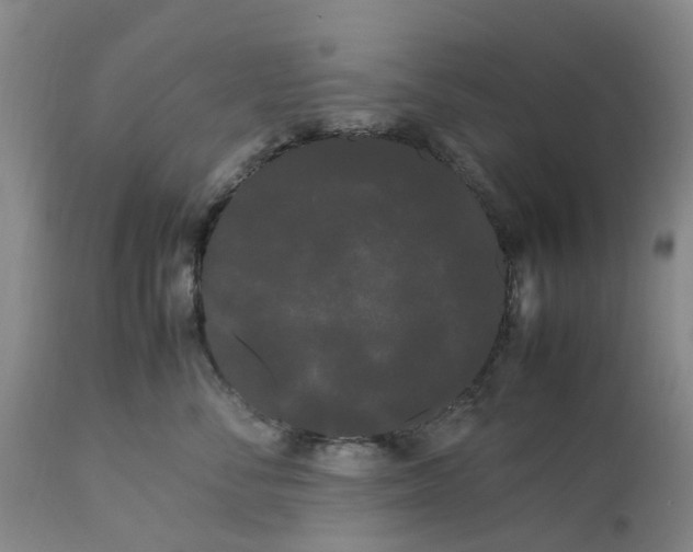 X0000113620716200910021828