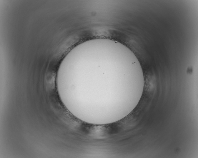 X0000113620717200910021828