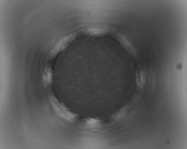 X0000113620718200910021828