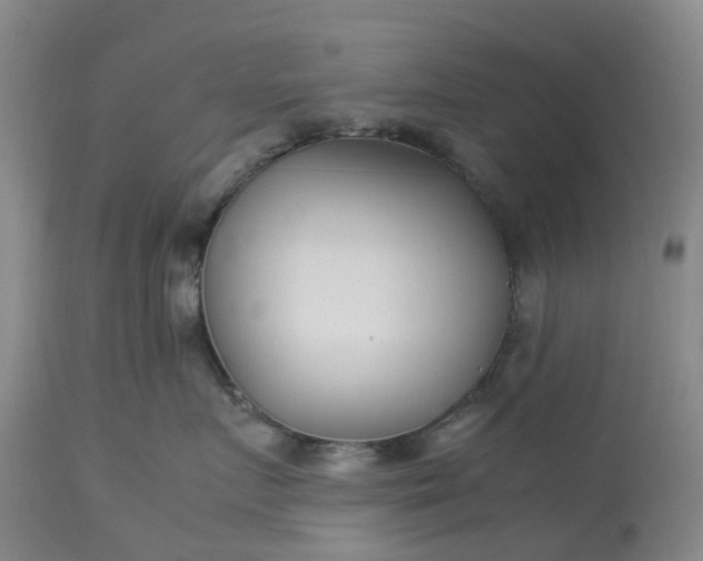 X0000113620719200910021828