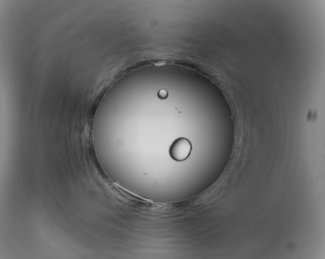 X0000113620720200910021828