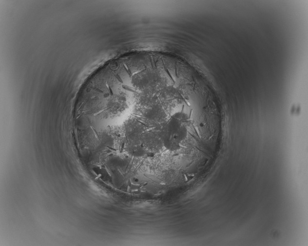 X0000113620721200910021827