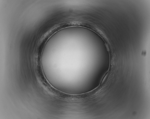 X0000113620722200910021827