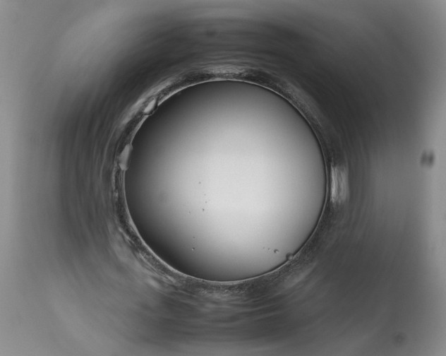 X0000113620723200910021827