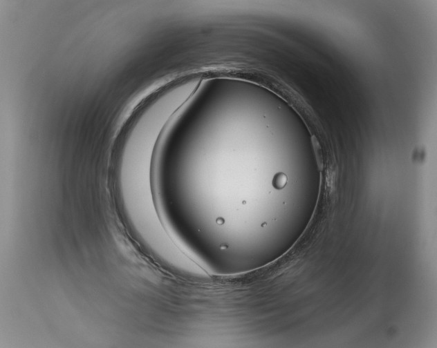 X0000113620724200910021827