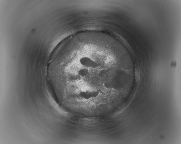 X0000113620725200910021827