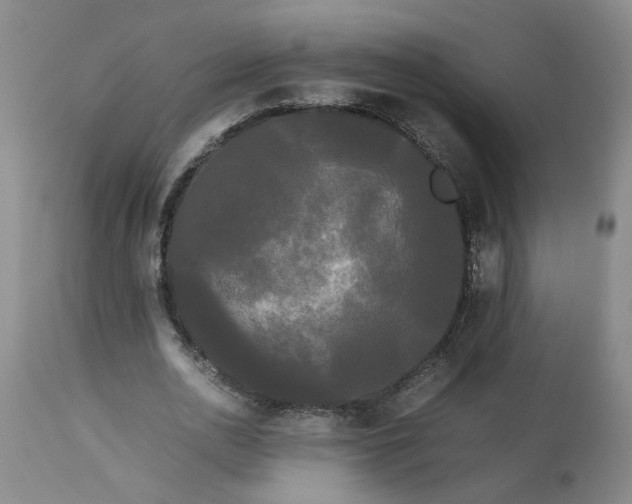 X0000113620726200910021827