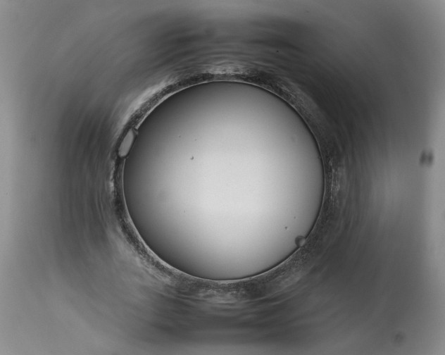 X0000113620727200910021827