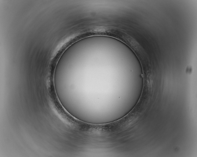 X0000113620728200910021827