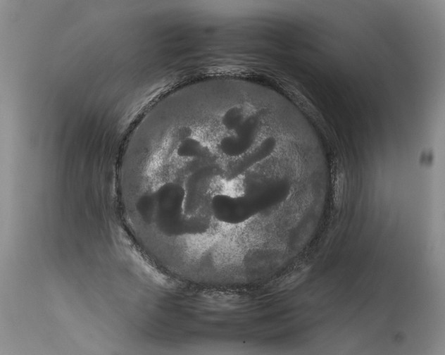 X0000113620729200910021827