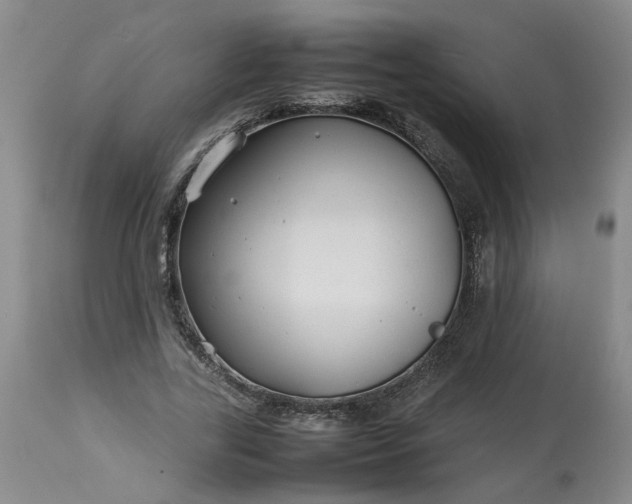 X0000113620731200910021827