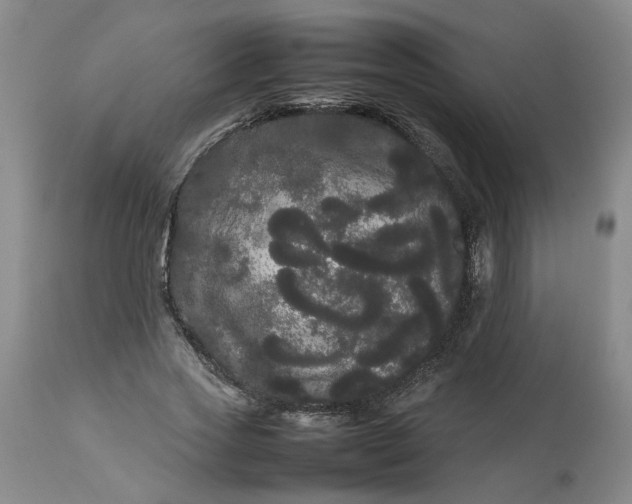 X0000113620733200910021827