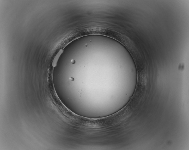 X0000113620735200910021827