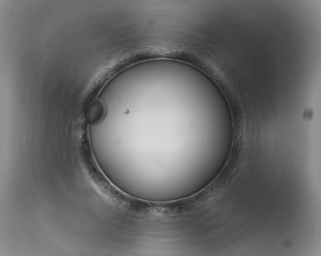 X0000113620736200910021827