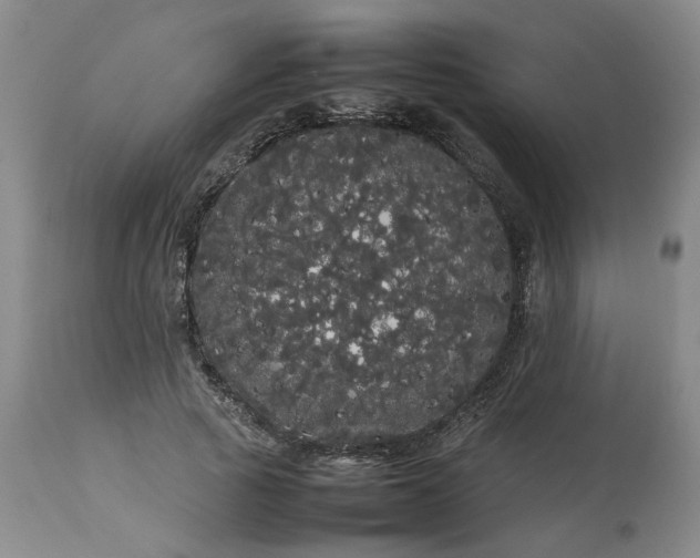 X0000113620737200910021827