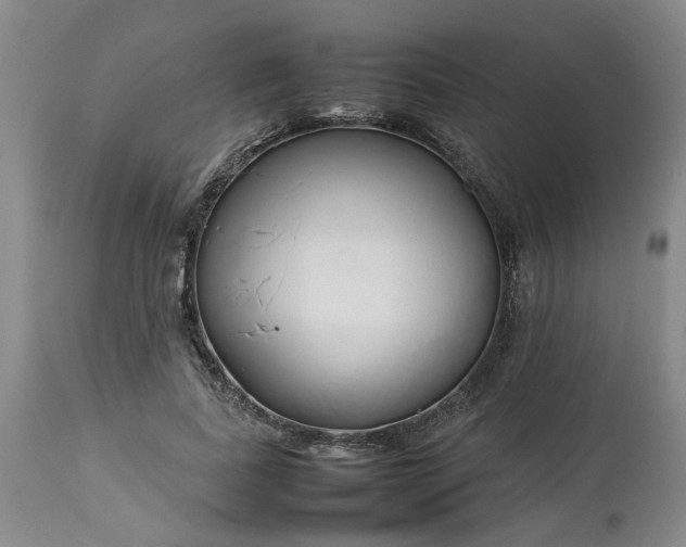 X0000113620739200910021827