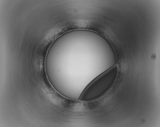 X0000113620740200910021827