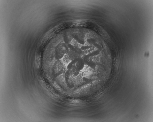 X0000113620741200910021827