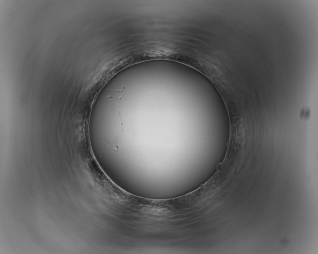 X0000113620743200910021827