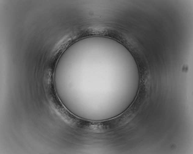 X0000113620744200910021827