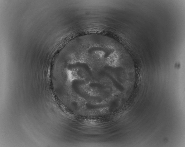 X0000113620745200910021827