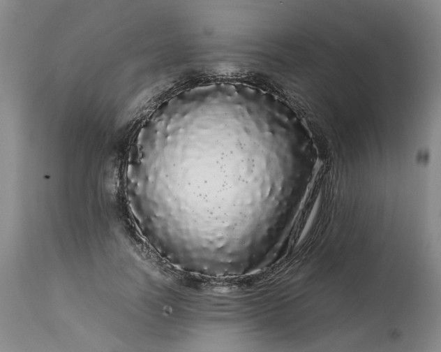 X0000113620746200910021827