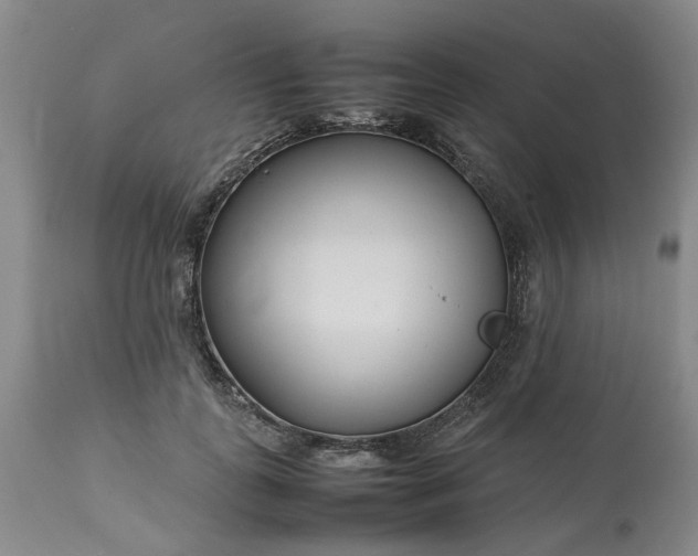 X0000113620747200910021828