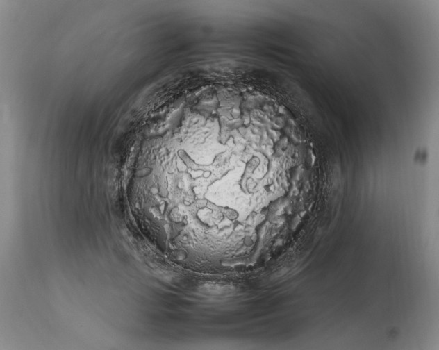 X0000113620749200910021828