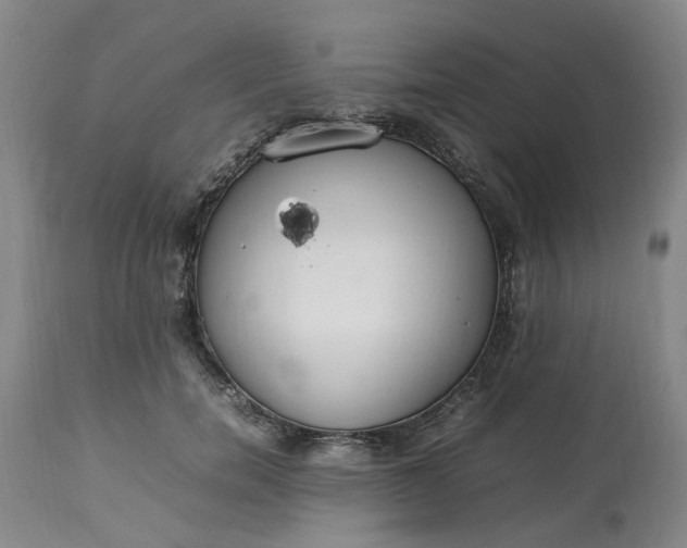 X0000113620750200910021828