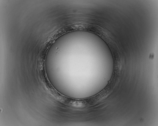 X0000113620751200910021828