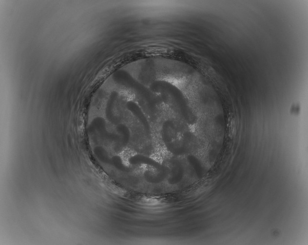 X0000113620753200910021828