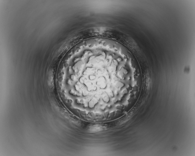 X0000113620754200910021828