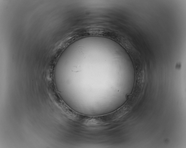 X0000113620755200910021828