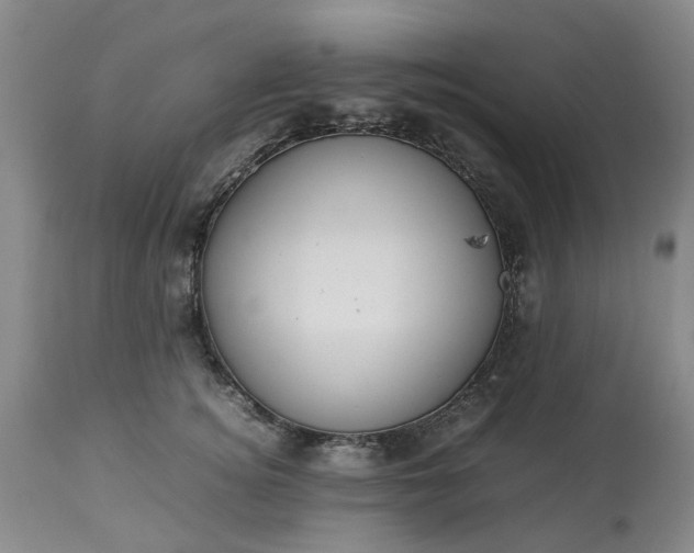 X0000113620756200910021828