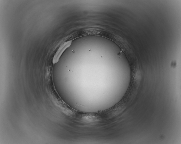 X0000113620759200910021828