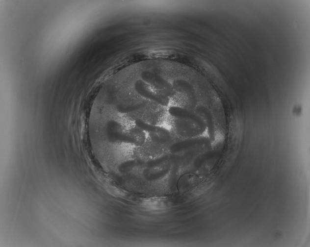 X0000113620761200910021828