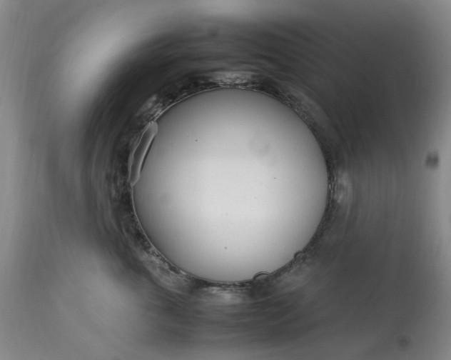 X0000113620763200910021828