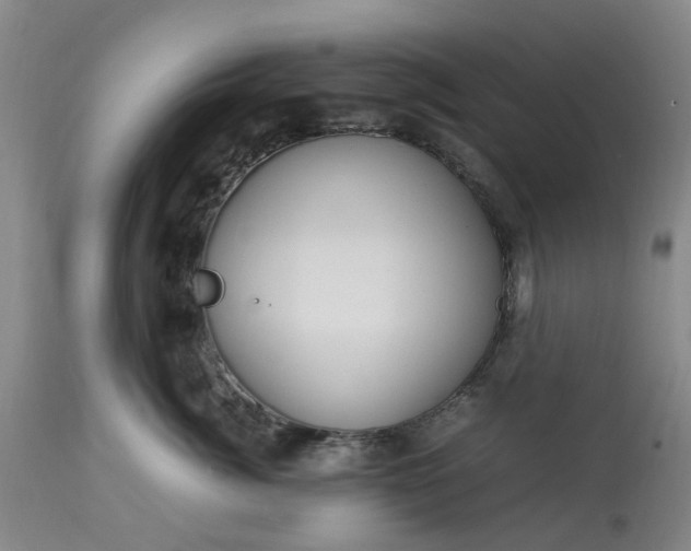 X0000113620764200910021828