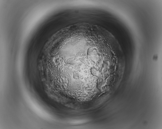 X0000113620765200910021828