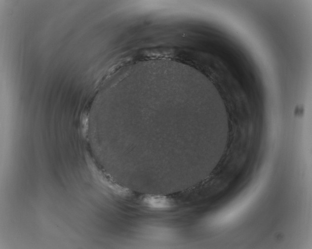 X0000113620767200910021828