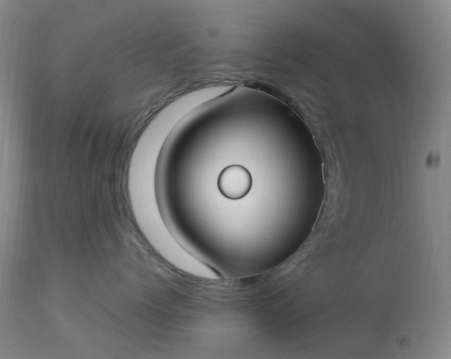 X0000113620768200910021828