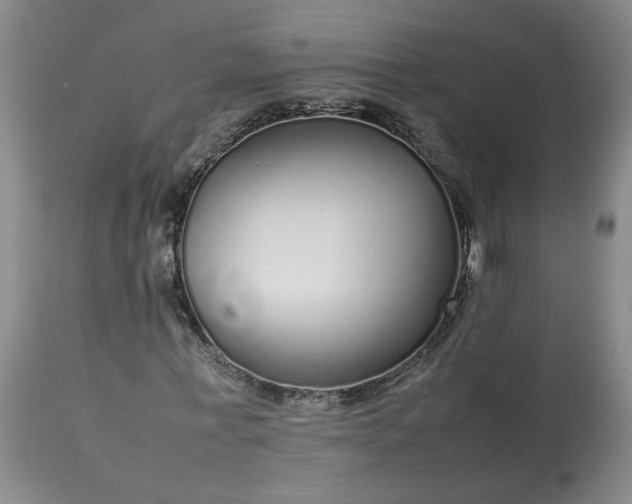 X0000113620771200910021827